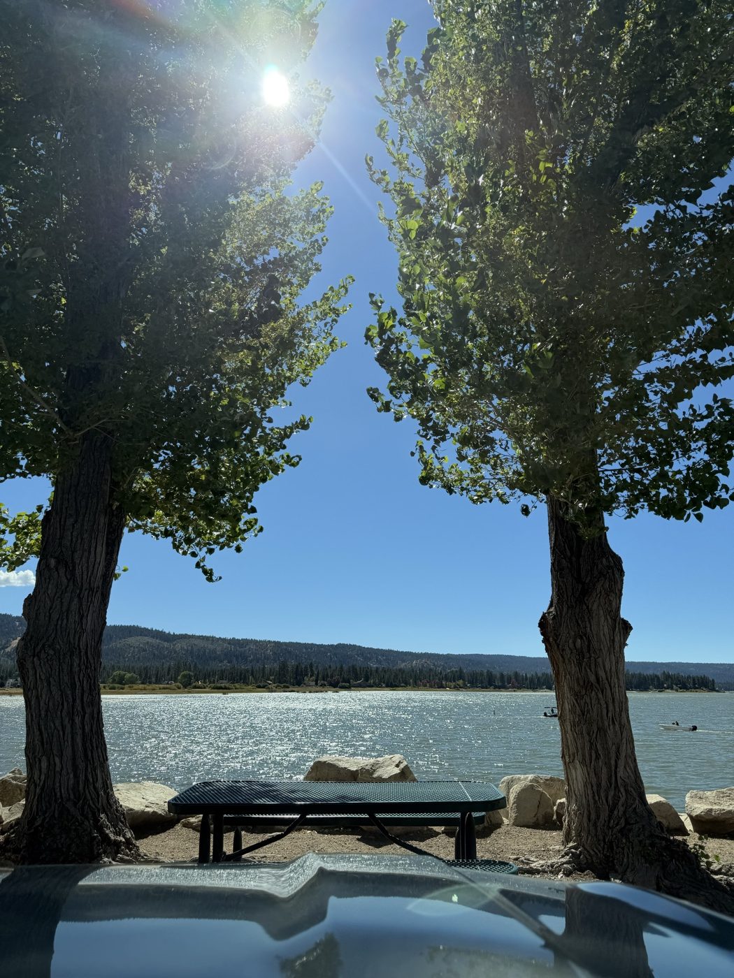 A picnic table between two trees on the shore of Big Bear Lake