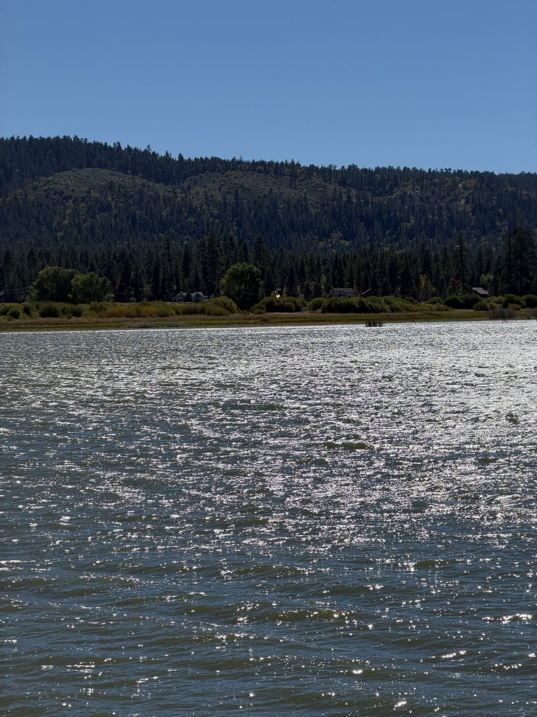 Big Bear Lake glittering in the sun below a forested ridge