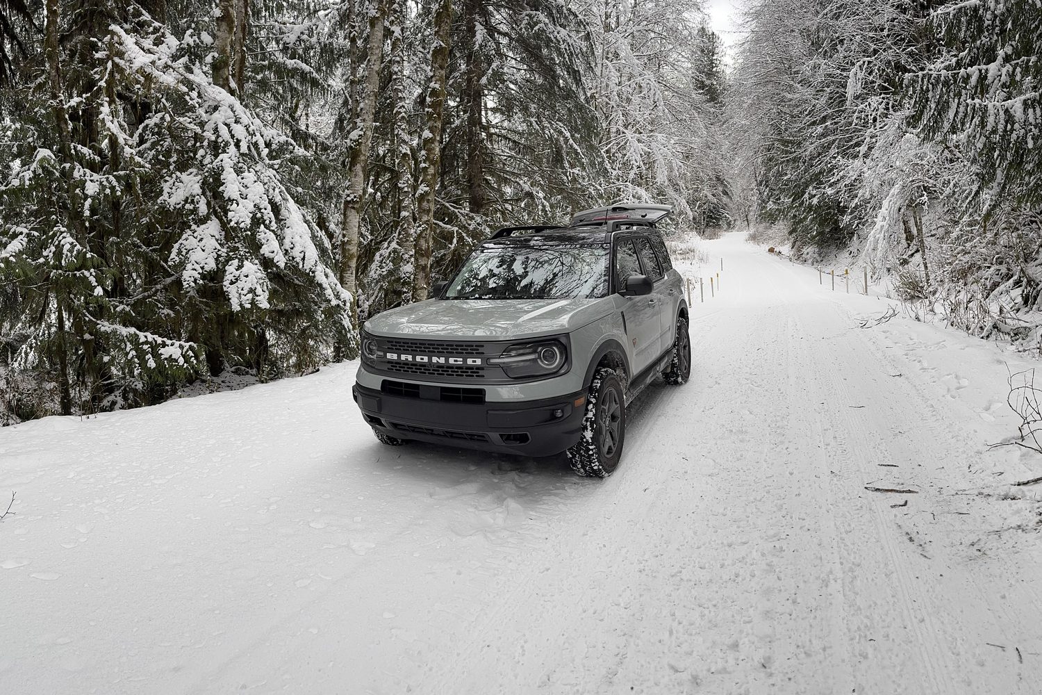 Daisy, our grey Bronco Sport, parked on a snowy forest road between tall evergreens