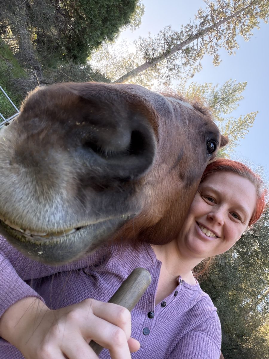 A very curious horse photobombing Jenna's selfie