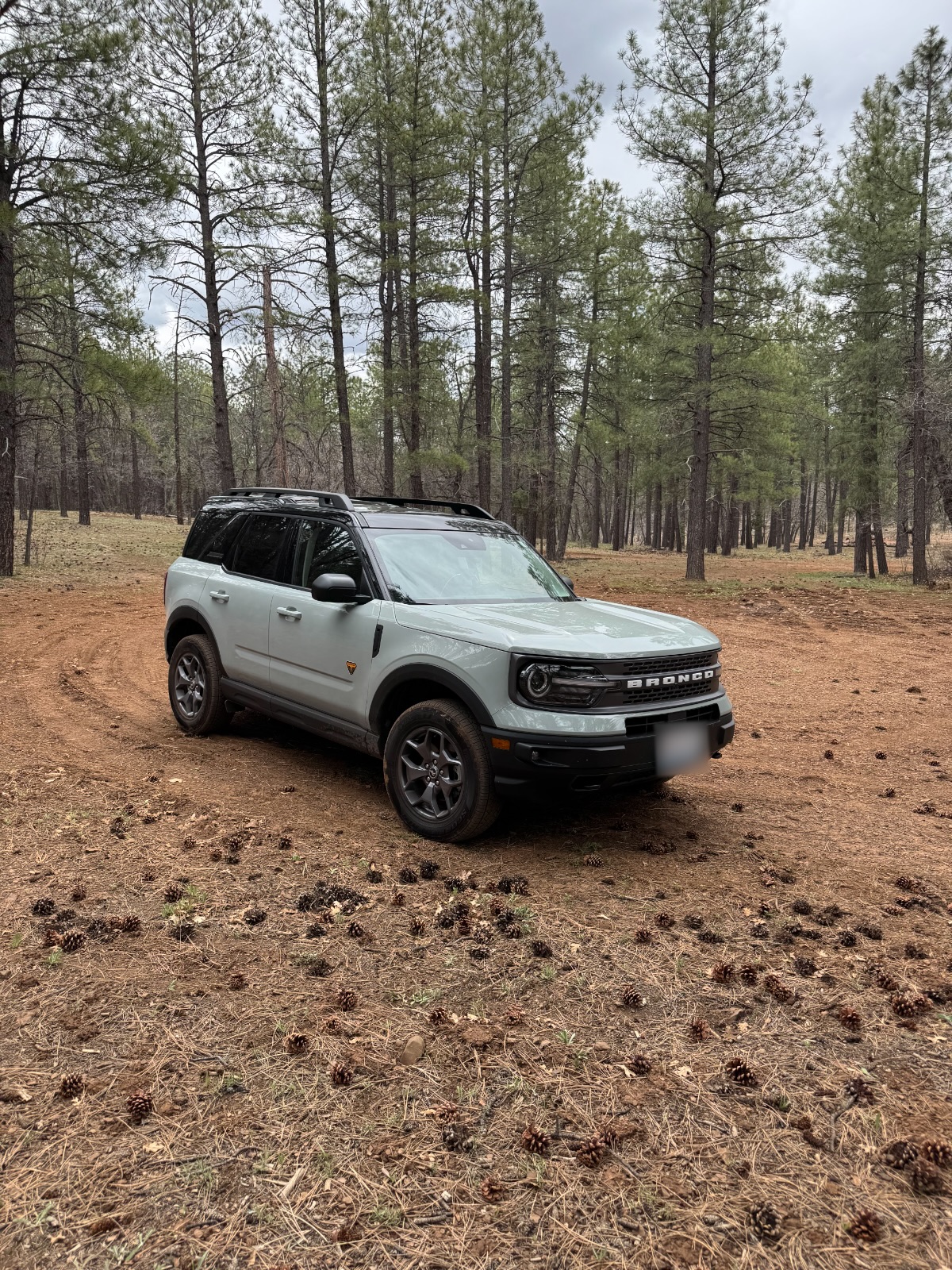 Daisy, a pale sage Ford Bronco Sport, parked on red dirt among tall pines