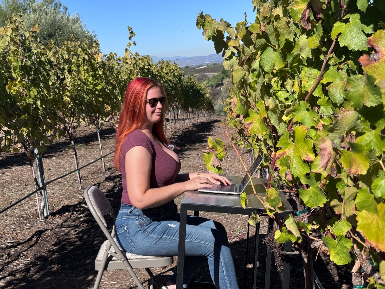 Jenna at a small folding desk with a laptop, between rows of vines in a Temecula vineyard