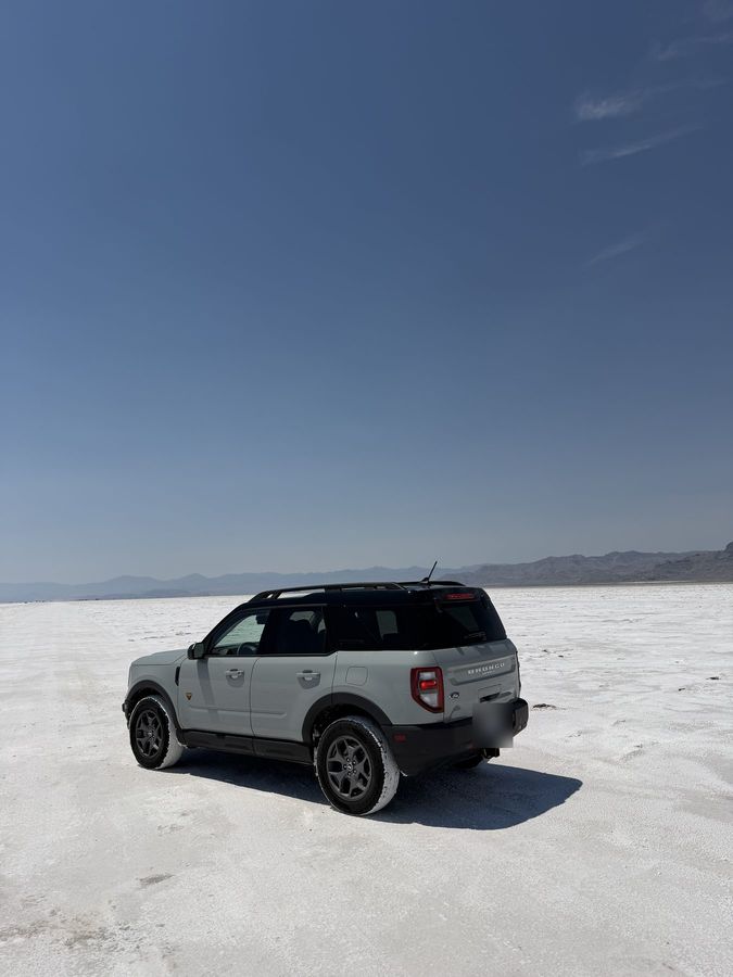 Daisy on the Bonneville Salt Flats
