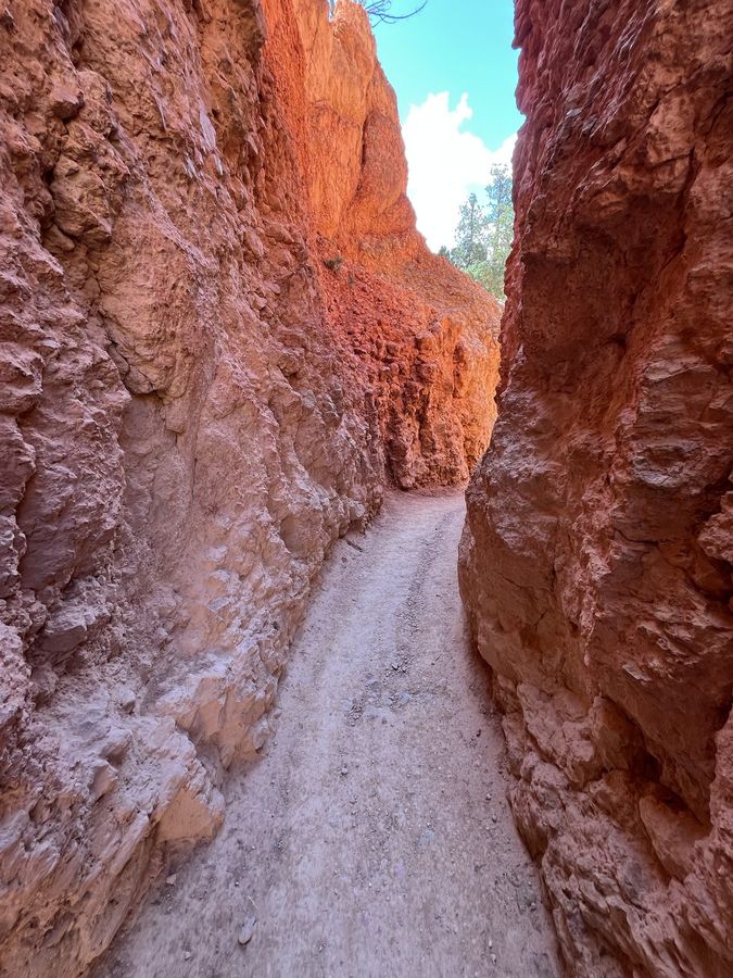 A narrow trail between red rock walls