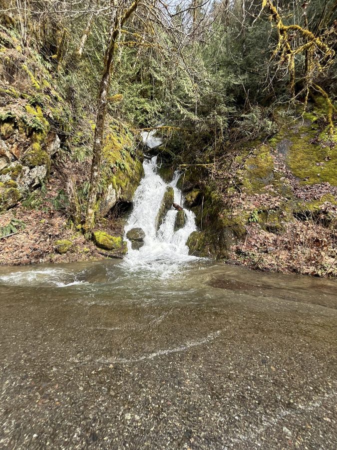 A small waterfall in a mossy creek