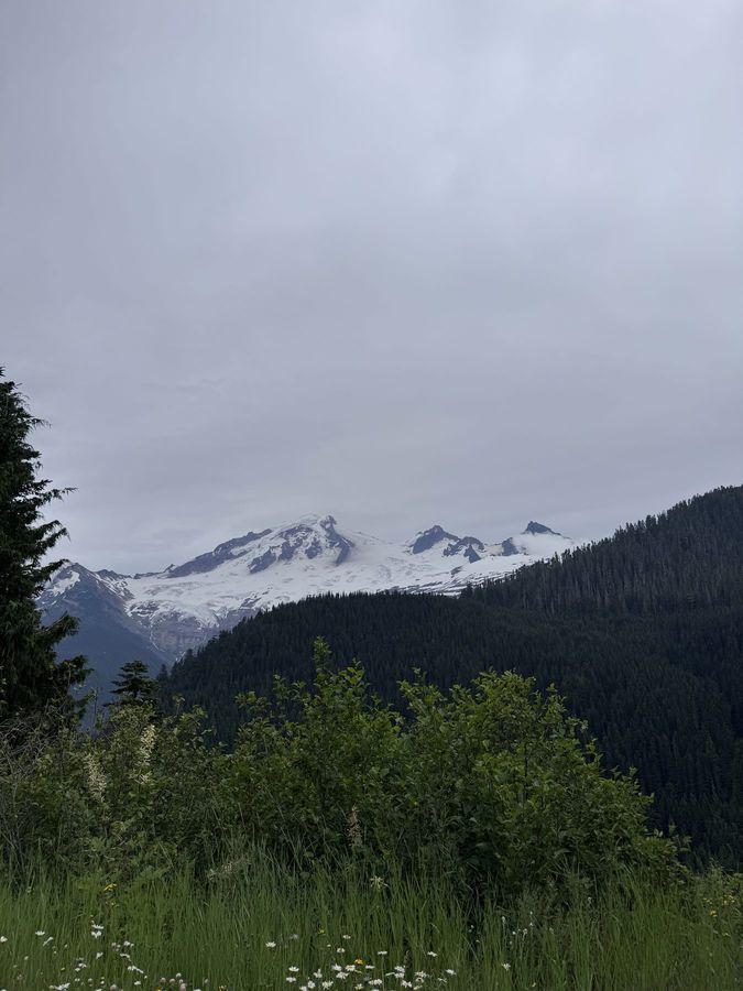 Snowfields on a mountain range under grey cloud