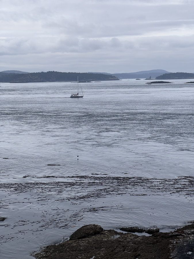 Low tide and grey water off the islands