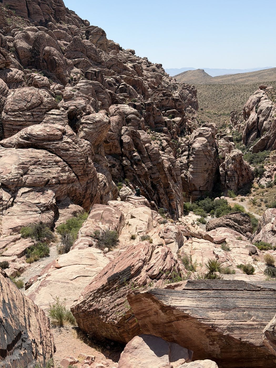 Looking down a steep sandstone canyon towards open desert and distant hills