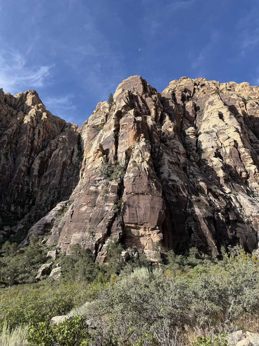 Pale sandstone peaks above green desert scrub under a deep blue sky