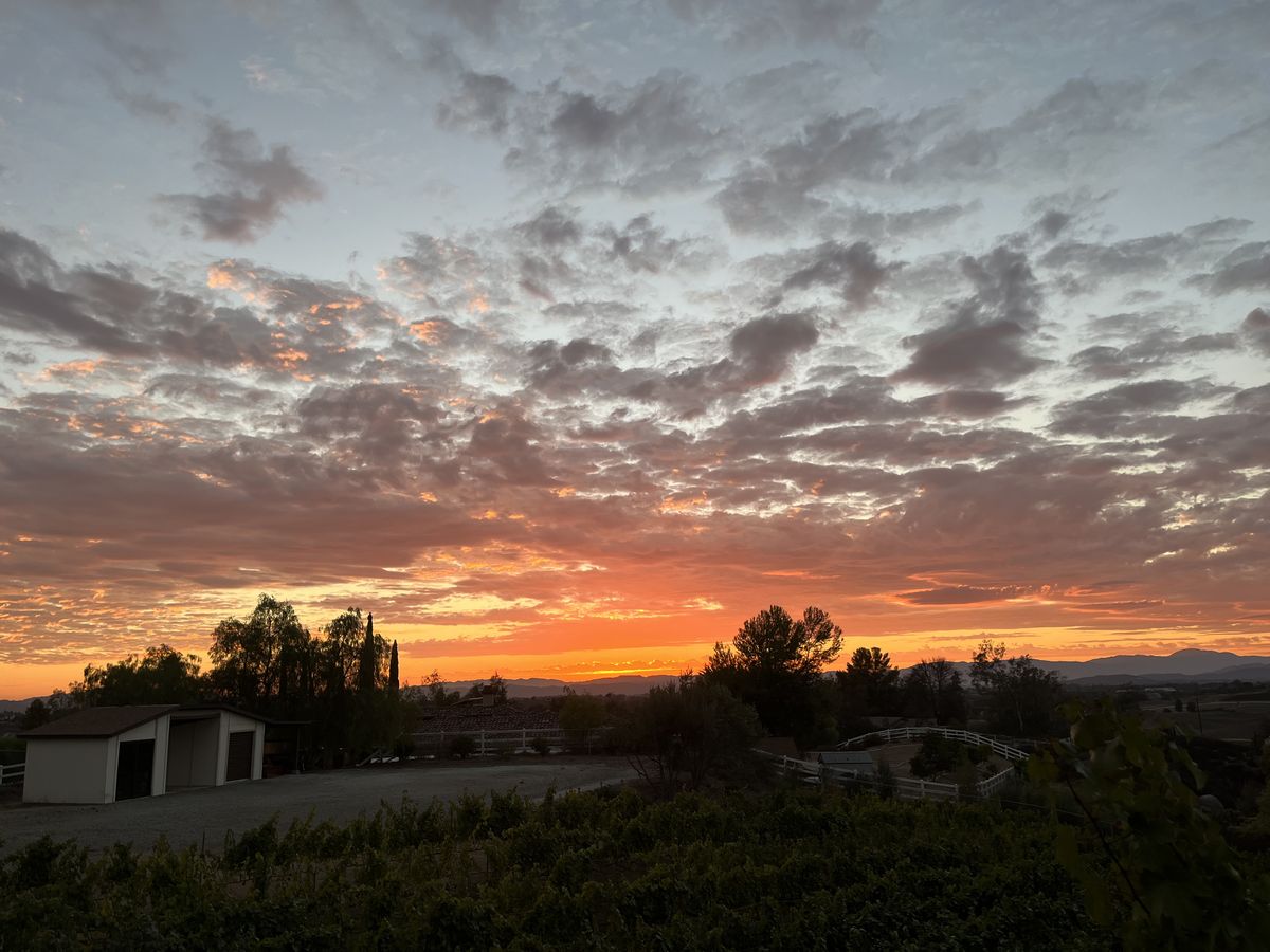 Sunset over vineyard hills with broken cloud